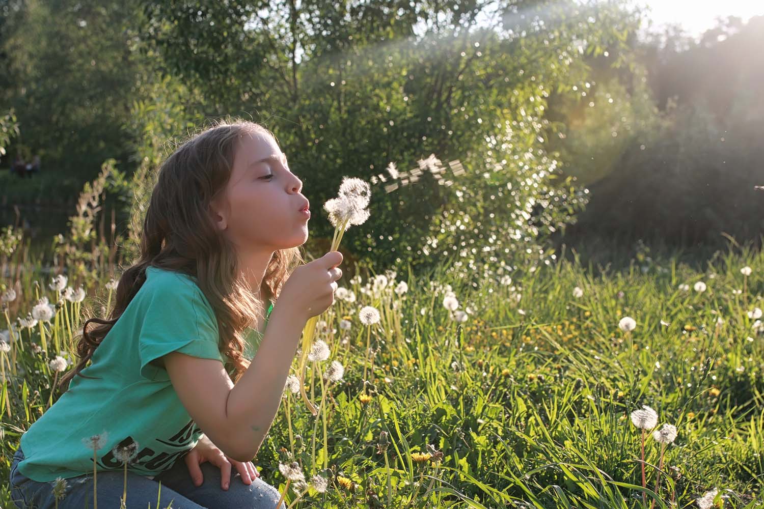 Girl kneeling in a sunny meadow blowing dandelion seeds
